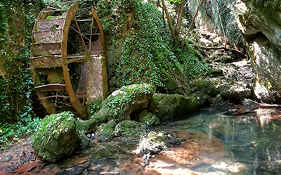 narodni muzej zajecar 03