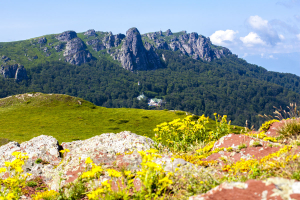 stara_planina_08