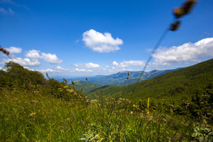 stara_planina_09
