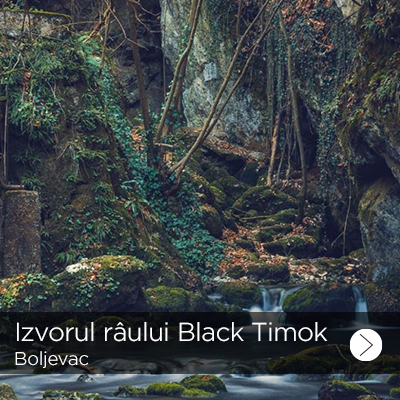 izvor crnog timoka 1
