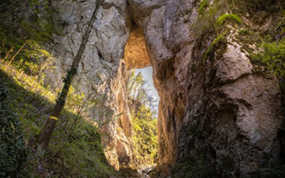 narodni muzej zajecar 03