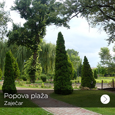 narodni muzej zajecar 1