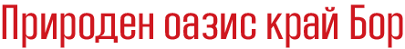 zajecar konak