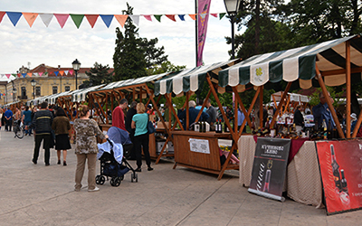 narodni muzej zajecar 03